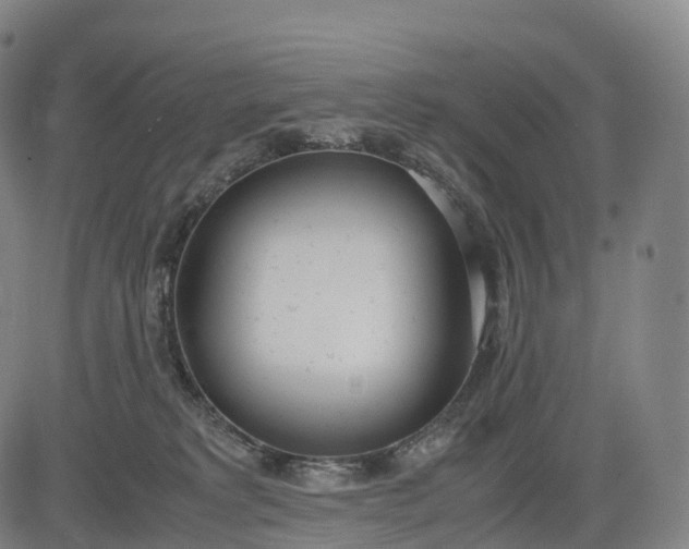 X0000083010229200702161559