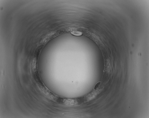 X0000083010230200702161559