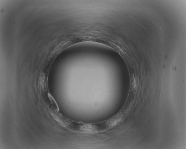 X0000083010231200702161559