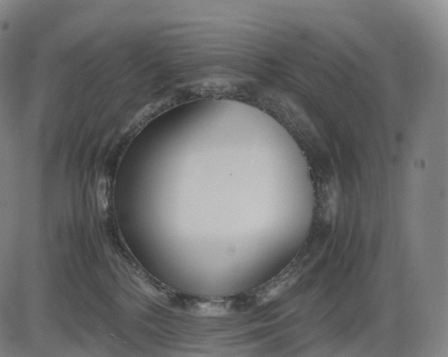 X0000083010232200702161559