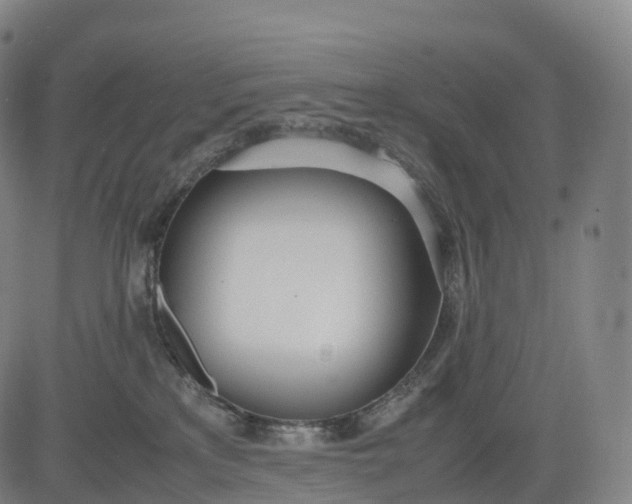 X0000083010233200702161559