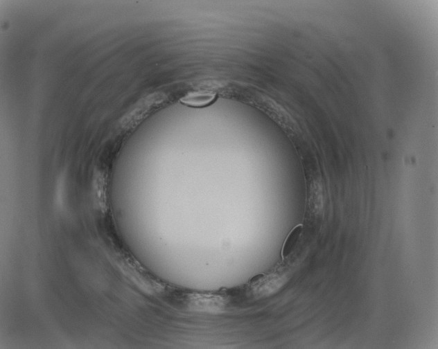 X0000083010234200702161559