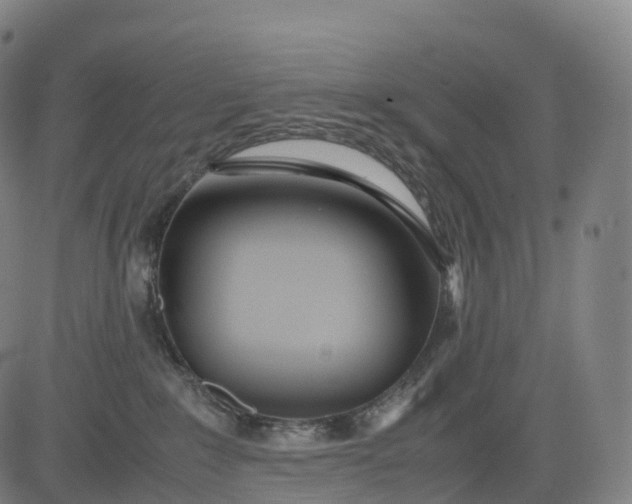 X0000083010235200702161559