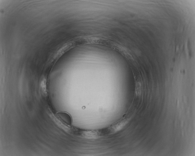 X0000083010238200702161559