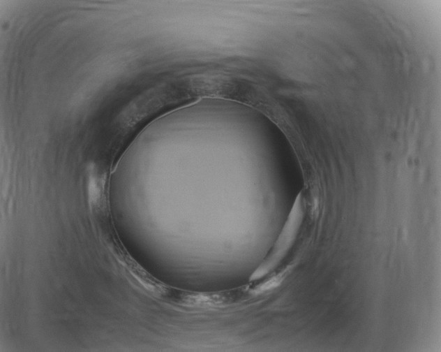 X0000083010239200702161559