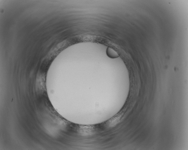 X0000083010240200702161559