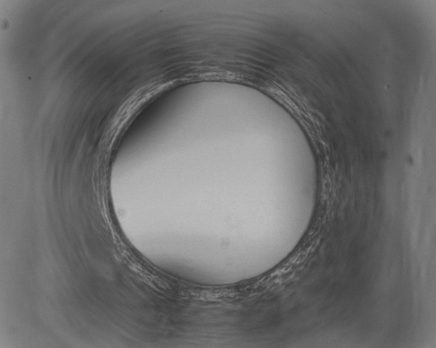 X0000083010241200702161558