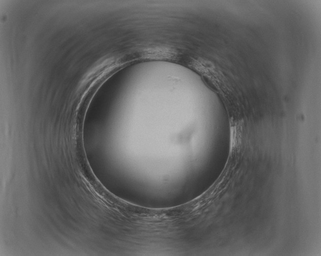 X0000083010243200702161558