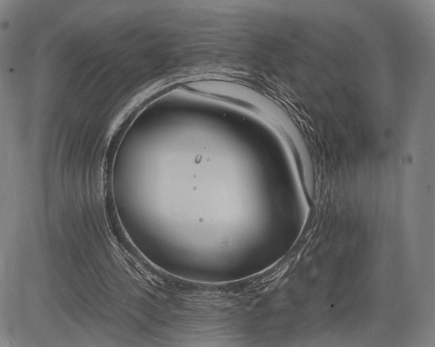 X0000083010244200702161558