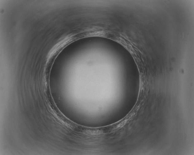 X0000083010245200702161558