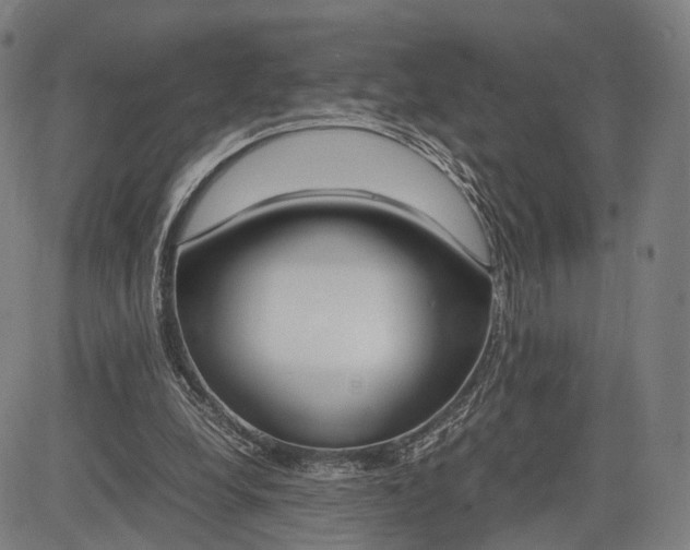 X0000083010248200702161558