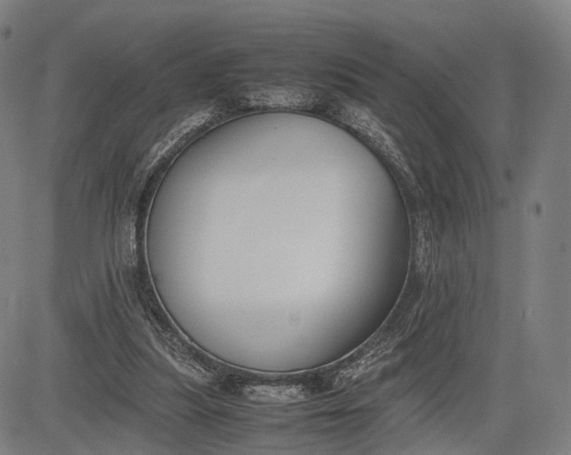 X0000083010251200702161558