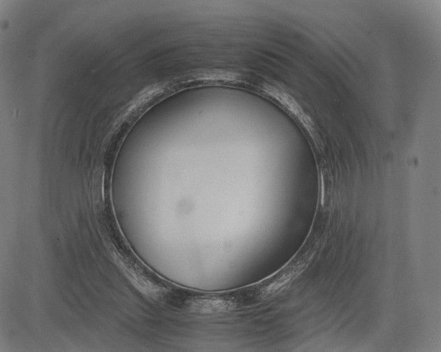 X0000083010253200702161558