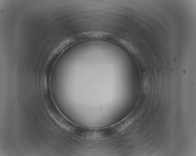 X0000083010254200702161558