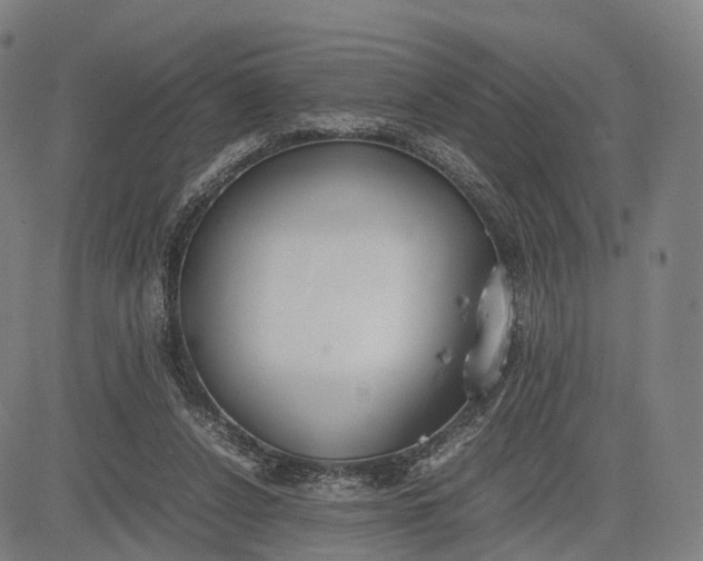 X0000083010256200702161558