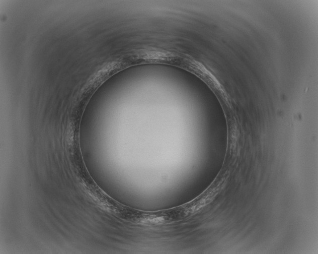 X0000083010257200702161558