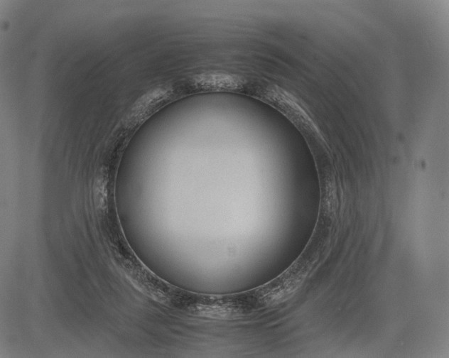 X0000083010259200702161558