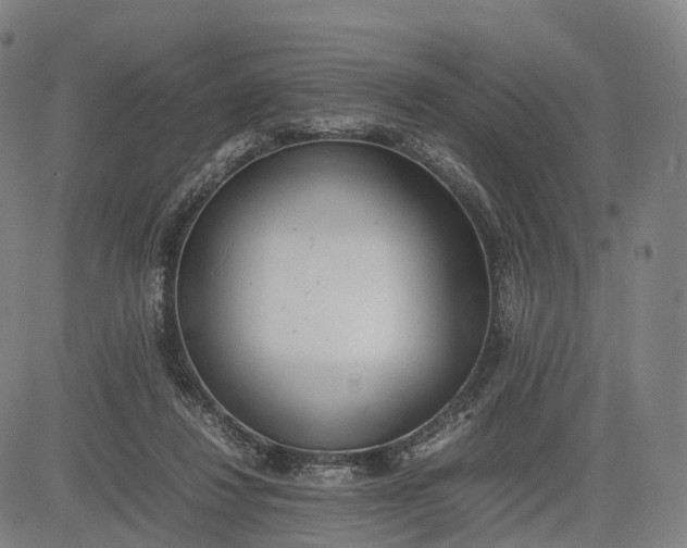 X0000083010260200702161558