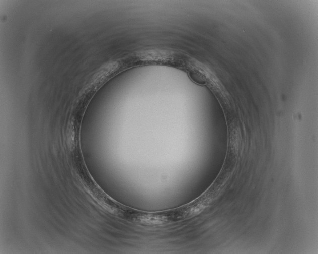 X0000083010261200702161558