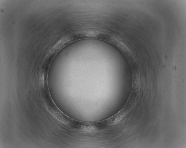 X0000083010262200702161558