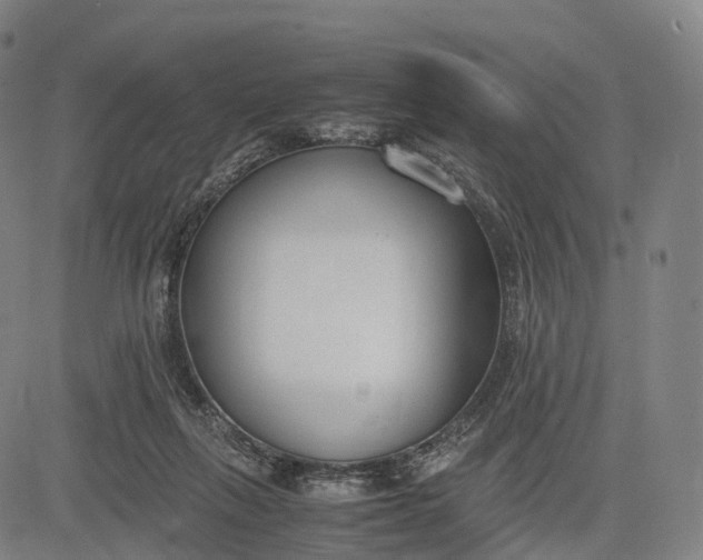 X0000083010263200702161558