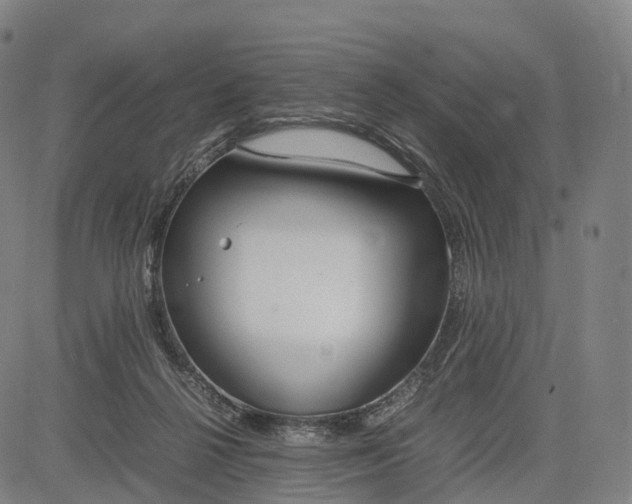 X0000083010264200702161558