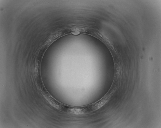 X0000083010265200702161558