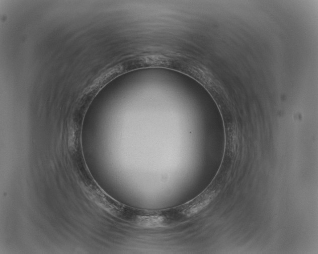 X0000083010266200702161558