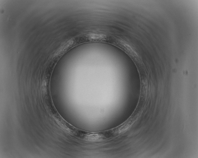 X0000083010269200702161558