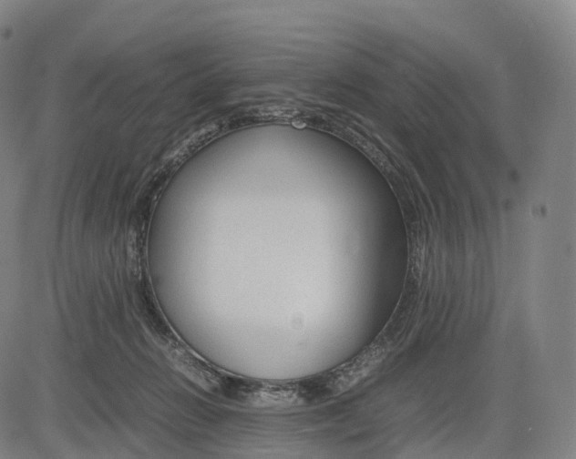 X0000083010270200702161559