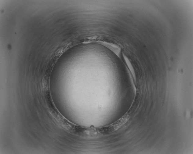 X0000083010272200702161559