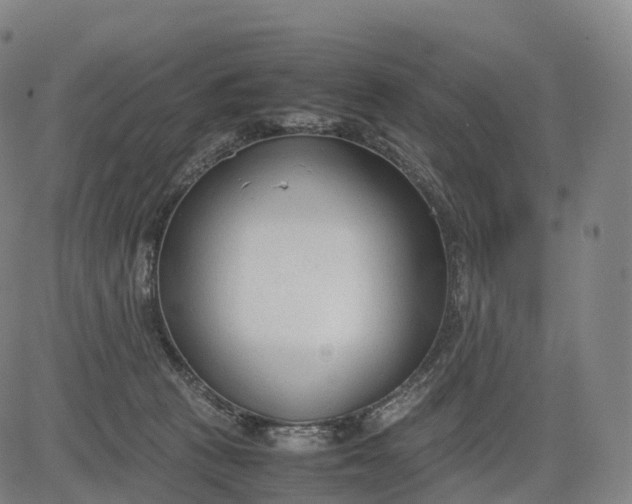 X0000083010273200702161559