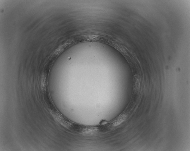 X0000083010274200702161559