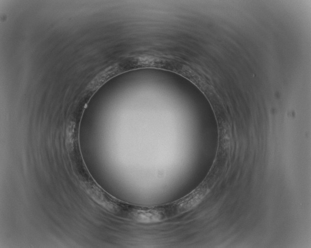 X0000083010275200702161559