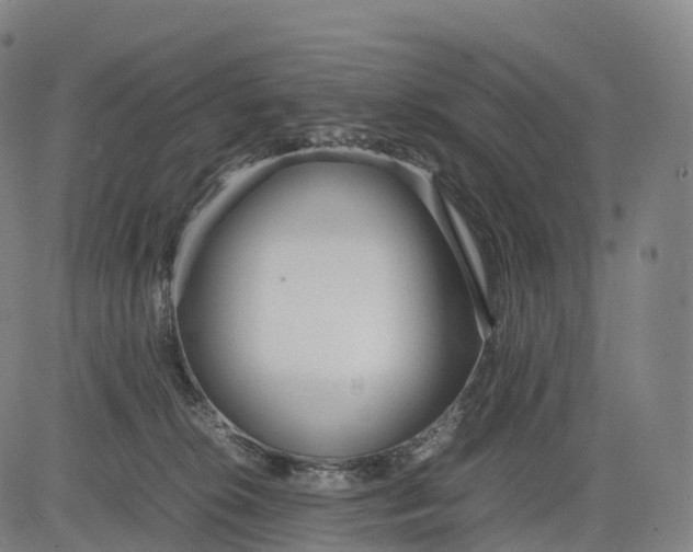 X0000083010276200702161559