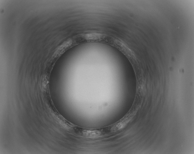 X0000083010277200702161559