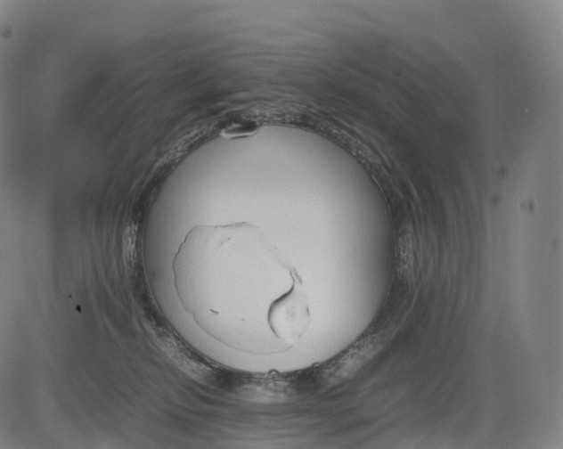 X0000083010278200702161559