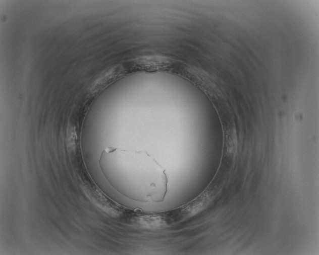 X0000083010279200702161559