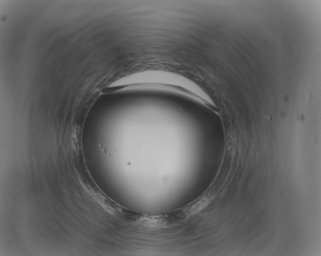 X0000083010280200702161559