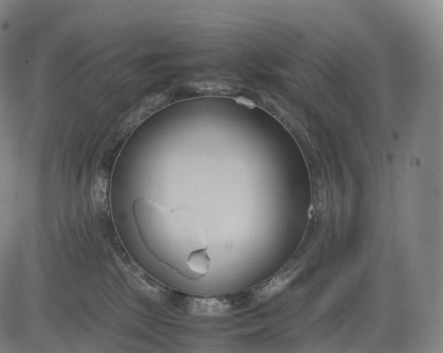 X0000083010281200702161559