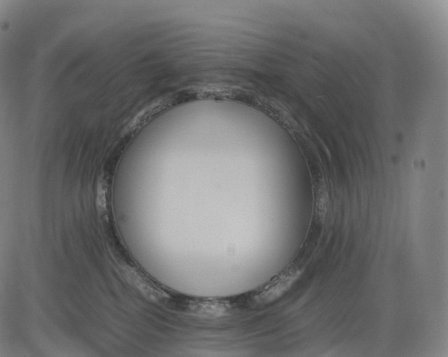 X0000083010282200702161559