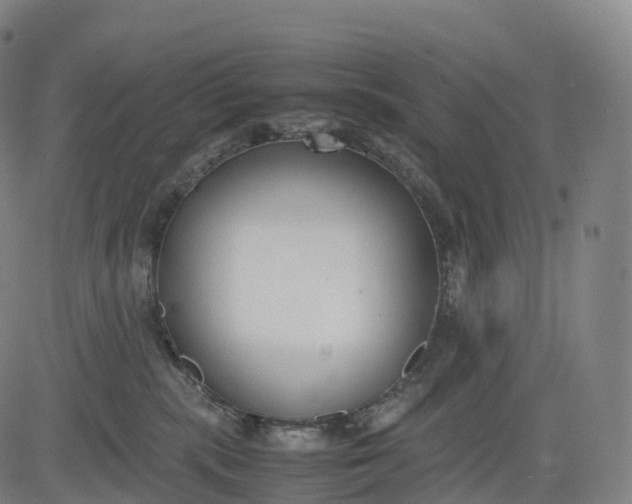 X0000083010283200702161559