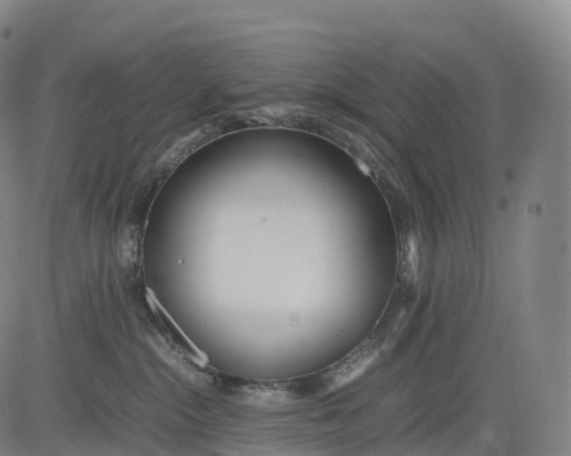 X0000083010284200702161559