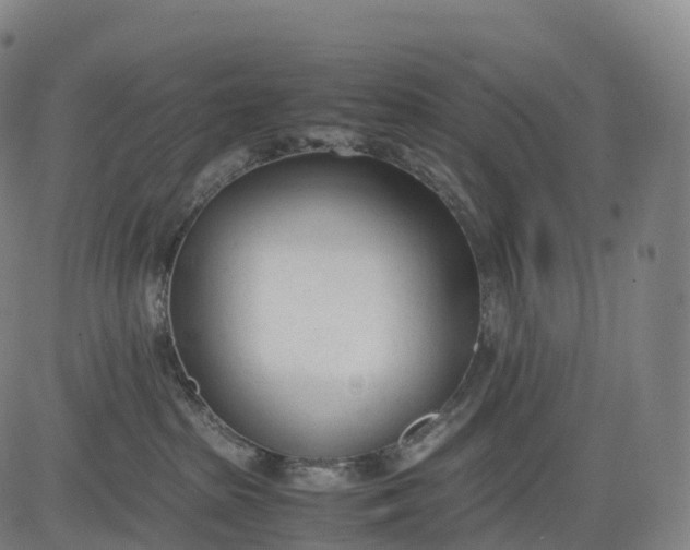 X0000083010285200702161559