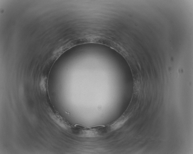 X0000083010286200702161559