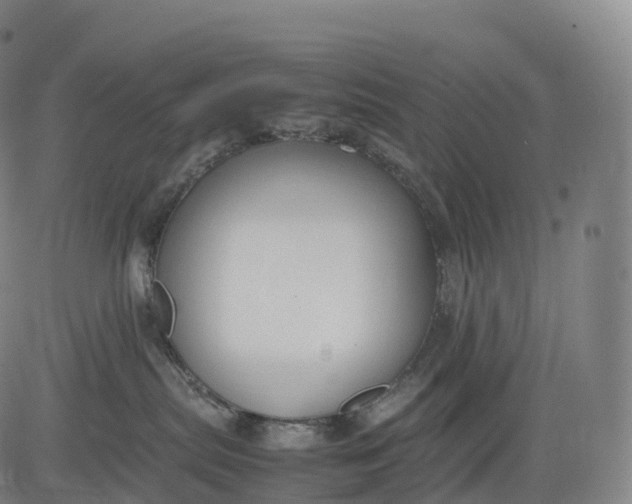 X0000083010287200702161559