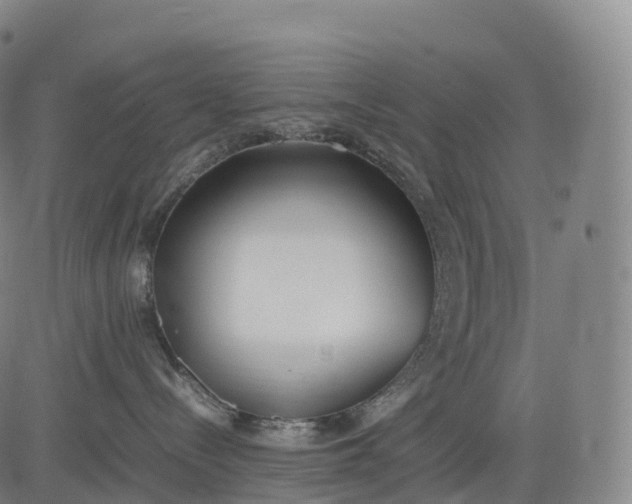 X0000083010288200702161559