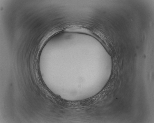 X0000083010289200702161558