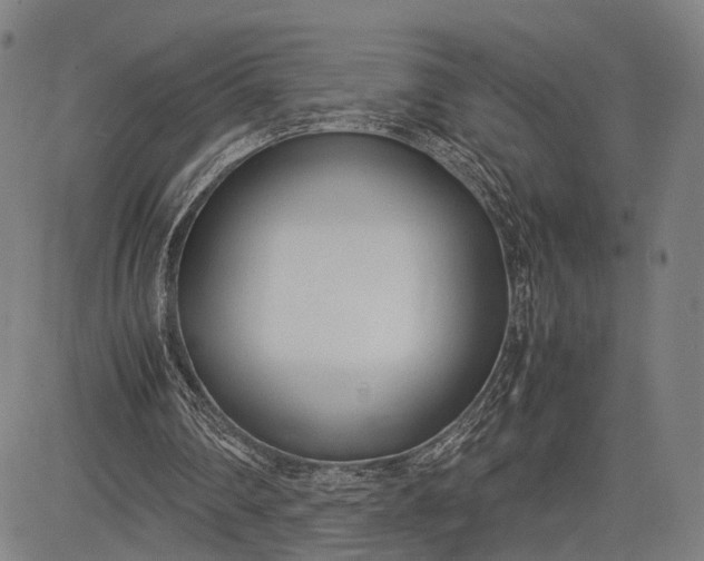 X0000083010290200702161558