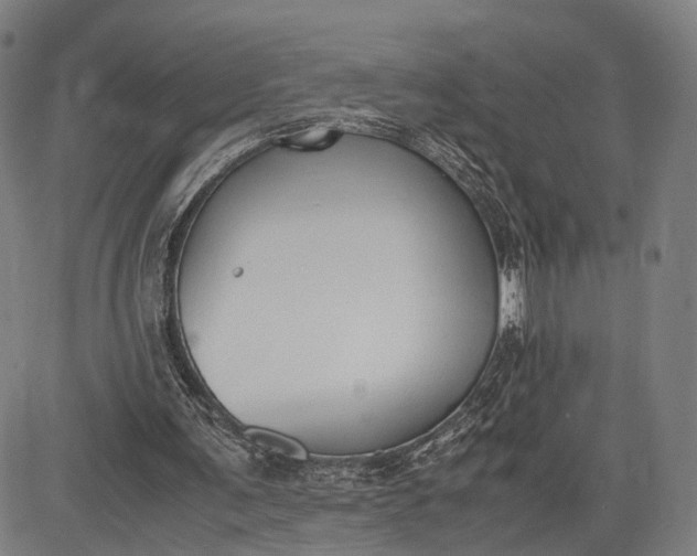 X0000083010291200702161558